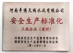 安全生產(chǎn)標(biāo)準(zhǔn)化三級(jí)企業(yè)